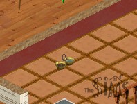 invisible dog with only collar showing eating