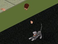 sim with invisible body